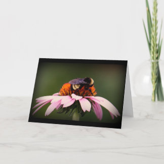 "テキサス州の夏期! " カード