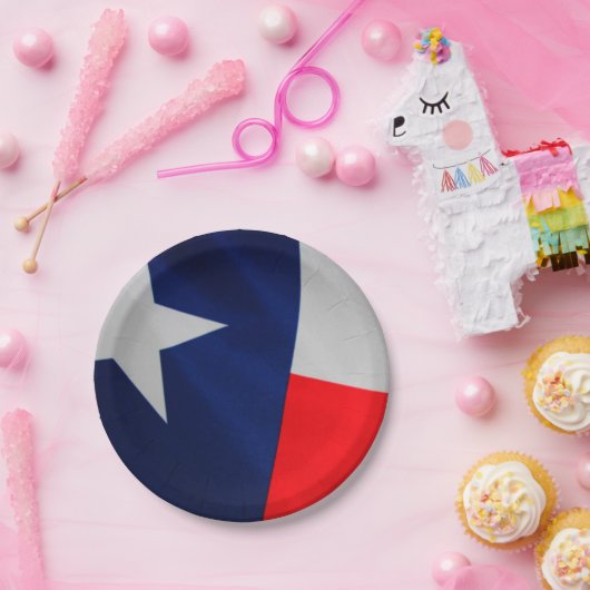 テキサス州の州の旗の紙皿 ペーパープレート (パーティー)