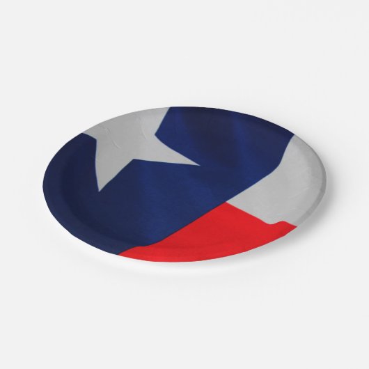 テキサス州の州の旗の紙皿 ペーパープレート (アングル)