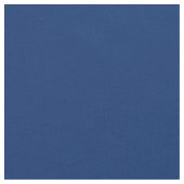 テキサス州の州の旗-高品質で確実な色 ファブリック (クローズアップ)