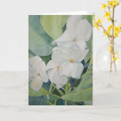 テキサス州の挨拶状のマグノリア カード (黄色い花)