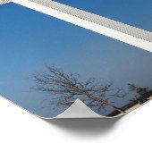 テキサス州の新郎の近くの19階建ての高い十字架 ポスター (角)