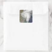 テキサス州の熱帯性嵐ハーミン スクエアシール (バッグ)