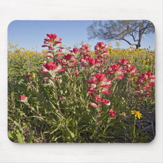 テキサス州の路傍に咲く野の花 春 マウスパッド (正面)