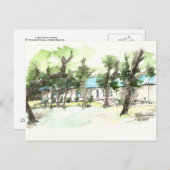 テキサス州の退去 ポストカード (正面/裏面)