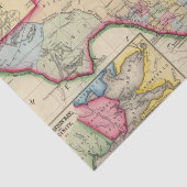 テキサス州の郡地図 薄葉紙 (詳細)