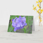 テキサス州の野生の花 カード (黄色い花)