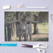 テキサス州の長角牛のティッシュペーパー 薄葉紙 (クラフト)