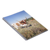 テキサス州の長角牛の品種(写真) ノートブック (右側)