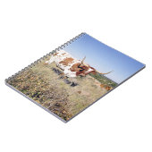 テキサス州の長角牛の品種(写真) ノートブック (左側)