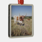 テキサス州の長角牛の品種(写真) メタルオーナメント (右)
