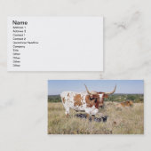 テキサス州の長角牛の品種(写真) 名刺 (正面/裏面)