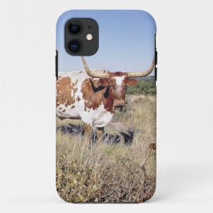 テキサス州の長角牛の品種(写真) iPhone 11 ケース