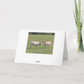 テキサス州の長角牛の誕生日の願い カード (裏面)