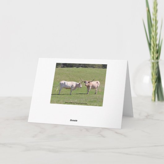 テキサス州の長角牛の誕生日の願い カード (裏面)