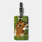 テキサス州の長角牛 ラゲッジタグ (正面縦)