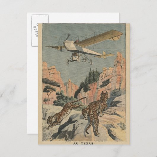 テキサス州の飛行機の狩り ポストカード (正面/裏面)