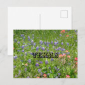 テキサス州はがき ポストカード (正面/裏面)