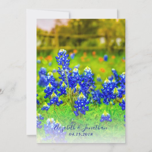 テキサス州エレガントブルーボネットフローラ結婚写真 招待状 (裏面)