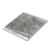 テキサス州オースティンアンティーク航空市地図1873年 タイル (側面)