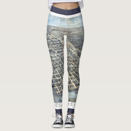 テキサス州オースティンアンティーク航空市地図1873年 レギンス