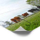 テキサス州キャトルオールドレッドバーン ポスター (角)