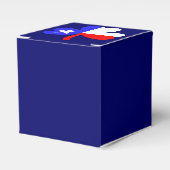 テキサス州クローバーフェイスボックス フェイバーボックス (正面サイド)