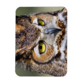 テキサス州ケンダール郡。アメリカワシミミズク マグネット (縦)