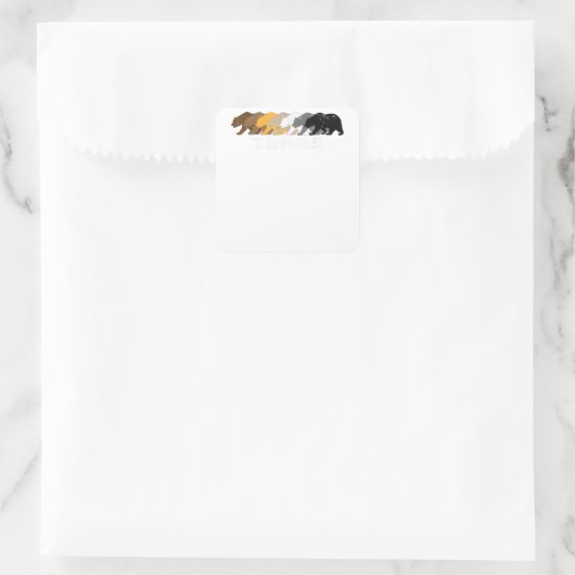 テキサス州ゲイベア動揺して スクエアシール (バッグ)