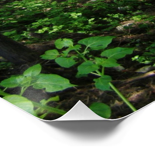 テキサス州サイプレスクリークウィンバーリー ポスター (コーナー)