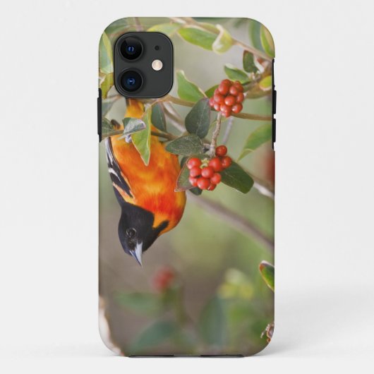 テキサス州サウスパドリ島 アメリカ Case-Mate iPhoneケース (裏面)