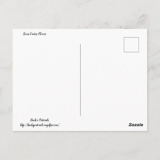 テキサス州サボテン花 ポストカード (裏面)