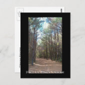 テキサス州シリーズ ポストカード (正面/裏面)