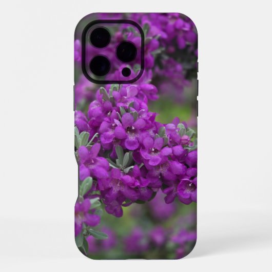 テキサス州セージIphoneケース iPhoneケース (裏面)