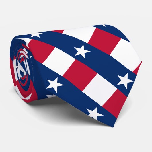 テキサス州タイズ、ファッションアメリカ合衆国、テキサス州国旗のビジネス ネクタイ (ロール)