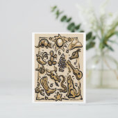 テキサス州タン ポストカード (スタンド正面)