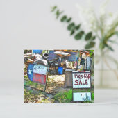 テキサス州デールで販売される豚 ポストカード (スタンド正面)