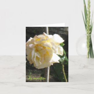 テキサス州バラ カード