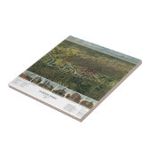 テキサス州ヒューストンの古地図(バッファロー川が描かれている) タイル (側面)