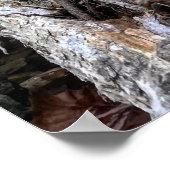 テキサス州ヒルカントリーロックとクリーク ポスター (角)