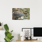 テキサス州ヒルカントリー第3位 ポスター (ホームオフィス)