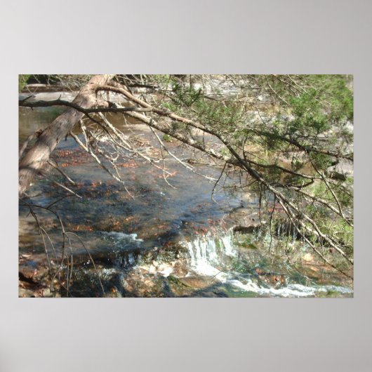 テキサス州ヒルカントリー第3位 ポスター (正面)