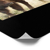 テキサス州ビソン ポスター (角)