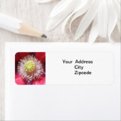 テキサス州ピンクスカルキャップ住所 シール (インサイチュ)