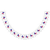 テキサス州フォーエバー国旗の地図 バンティングフラッグ (全)