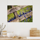 テキサス州ブルーボネのまわりにツアカントリーフェンス ポスター (キッチン)