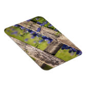 テキサス州ブルーボネのまわりにツアカントリーフェンス マグネット (右側)