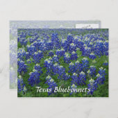 テキサス州ブルーボネットのフィールドフォト ポストカード (正面/裏面)