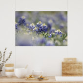 テキサス州ブルーボネット写真集シリーズ#5 ポスター (キッチン)