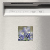 テキサス州ブルーボネット写真集シリーズ#7 マグネット (インサイチュ (食洗機))